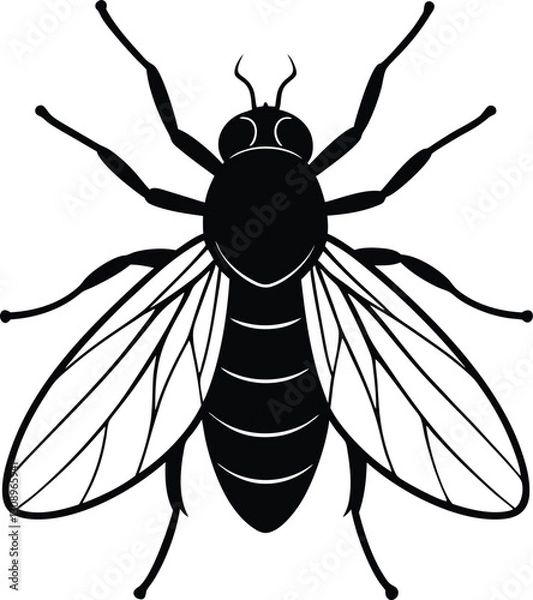 Obraz fly vector illustration