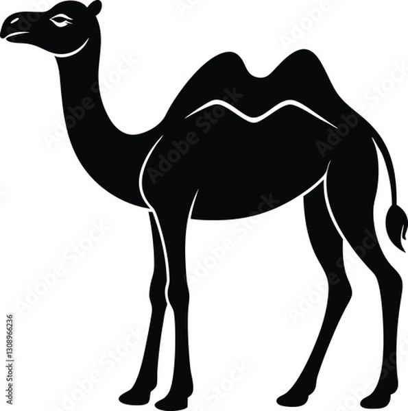 Obraz camel vector illustration