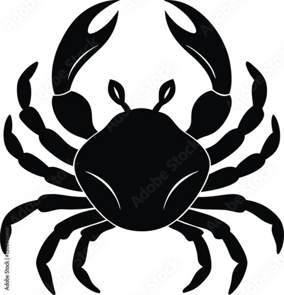 Obraz crab vector illustration