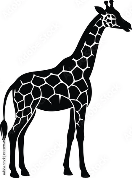 Obraz giraffe vector illustration