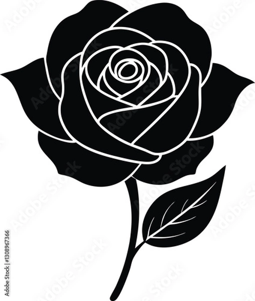 Obraz  rose vector illustration