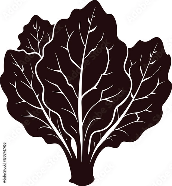 Obraz letus vector illustration