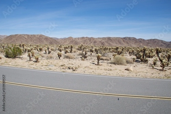 Obraz road in desert