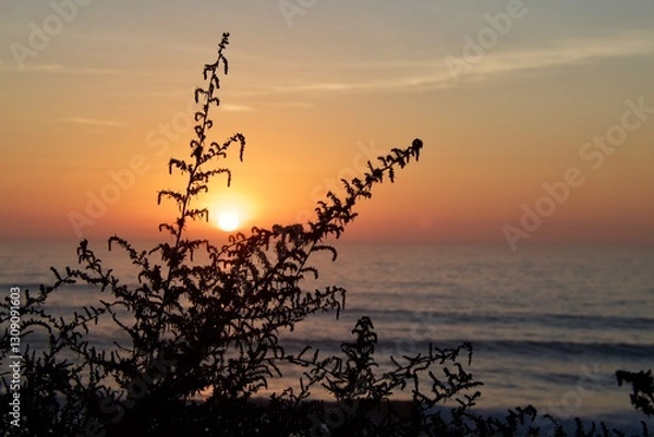 Obraz sunset on the beach