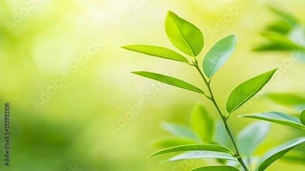 Fototapeta Closeup of Vibrant Green Leaves on a Branch in Soft Sunlight