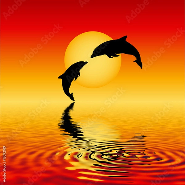 Fototapeta dolphins