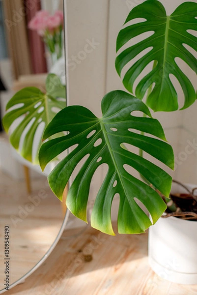 Fototapeta Home decor