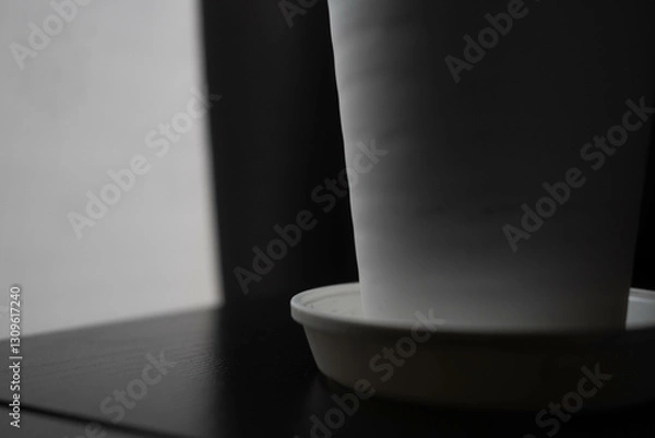 Fototapeta モノクロとフラワーベース