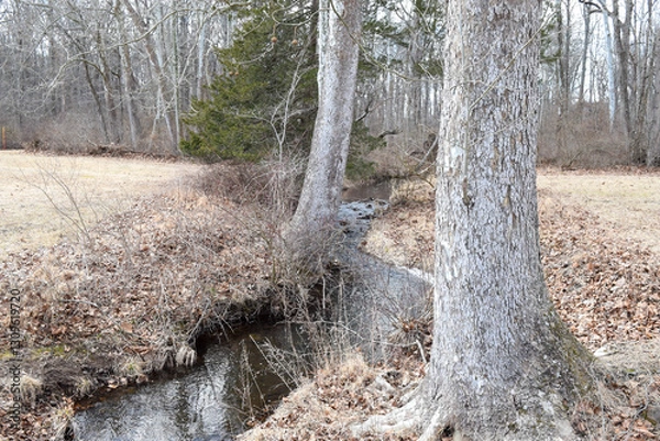 Obraz Winter creek