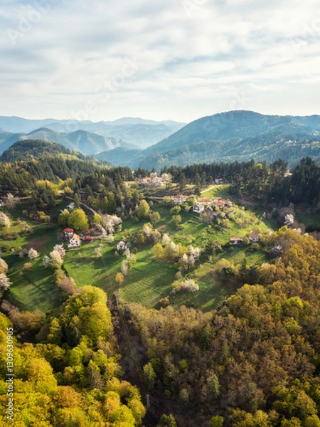 Fototapeta Spring hills with rich vegetation, blossoming trees and small houses around them, bathed in morning light in the vicinity of the town of Smolyan, Rhodope Mountains, Bulgaria.