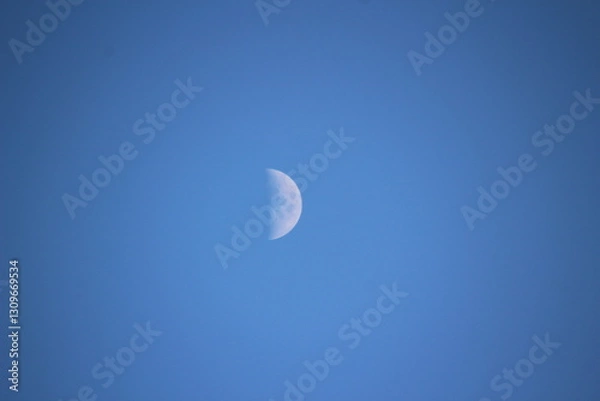 Fototapeta 上弦の月　Halfmoon