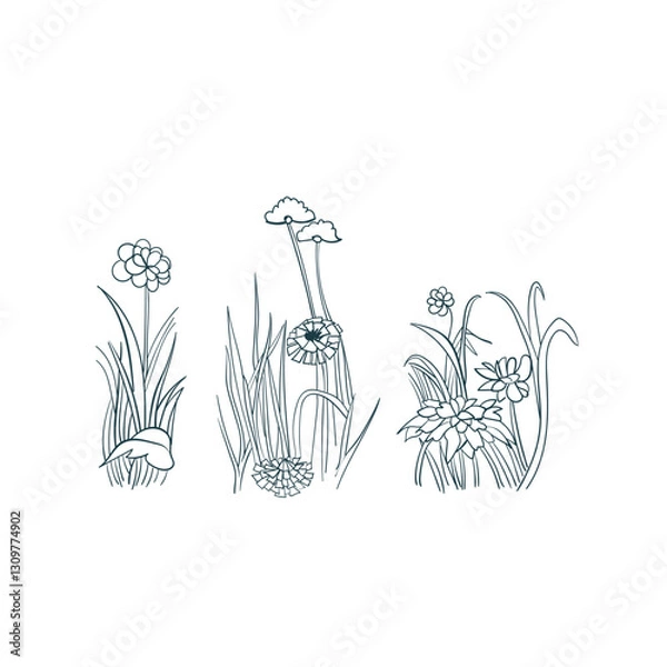 Obraz meadow glade grass flower vector design element isolated hand drawn art line