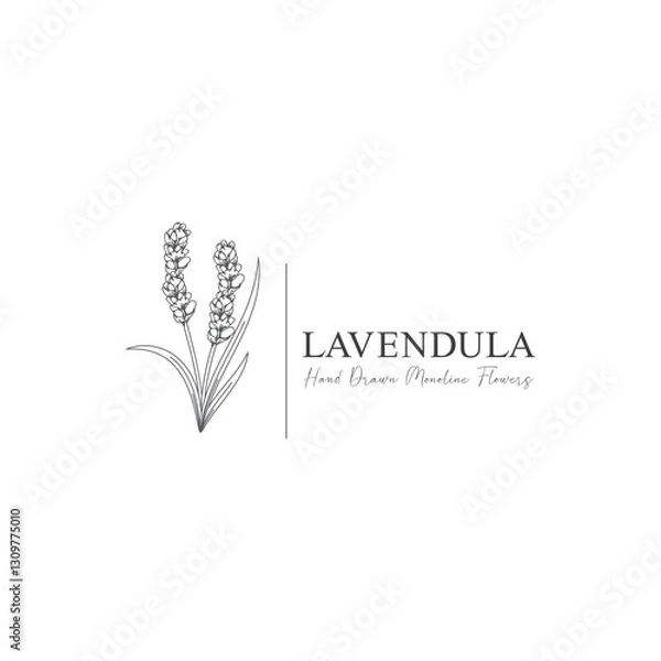 Fototapeta monoline vector illustration lavender flower sketch negative space.