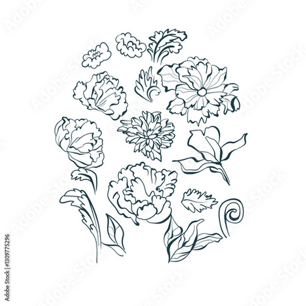 Obraz chrysanthemum flower vector design element isolated hand drawn art line