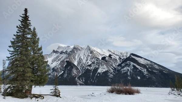 Obraz Alberta Winter