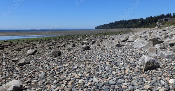 Obraz Stony beach exposed on low tide