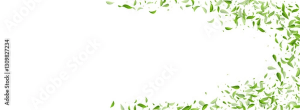 Obraz Forest Foliage Fresh Vector Panoramic White