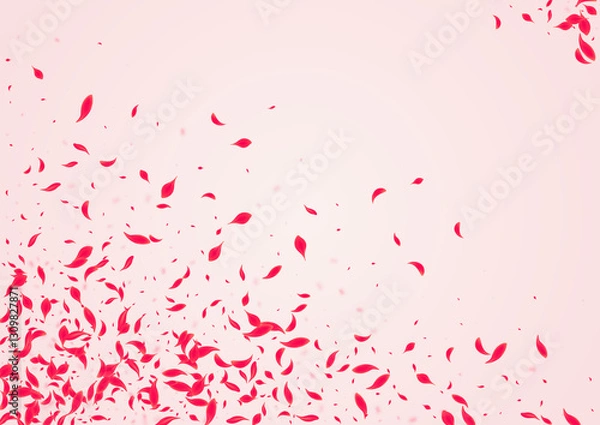 Obraz Carmine Peach Vector Pink Background. Fly Floral