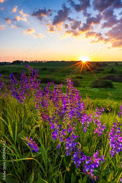 Fototapeta Summer sunset