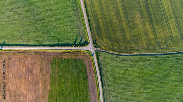 Fototapeta summer fields
