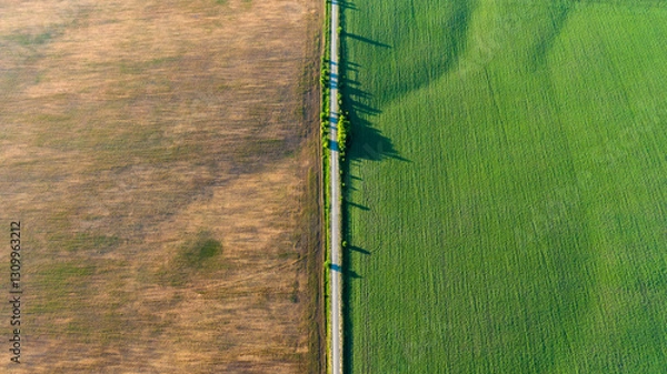 Fototapeta summer fields
