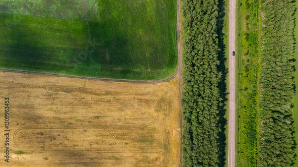 Fototapeta summer fields
