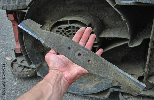 Fototapeta lawn mower knife in a man's hand. replacing a lawn mower blade