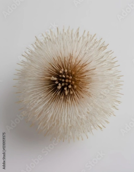 Obraz A spherical object with a white, speckled, circular pattern on its surface.