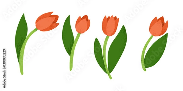 Fototapeta Stylized digital illustration of four red tulips with green leaves in a textured, minimalistic design on a white background. Vector hand drawn set isolated on white background