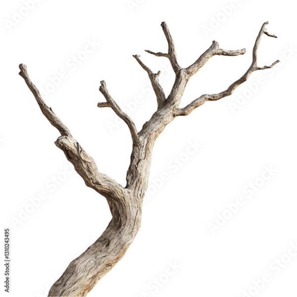 Fototapeta Twisted Tree Branch Abstract Art Bold Colors Nature Meets Geometry