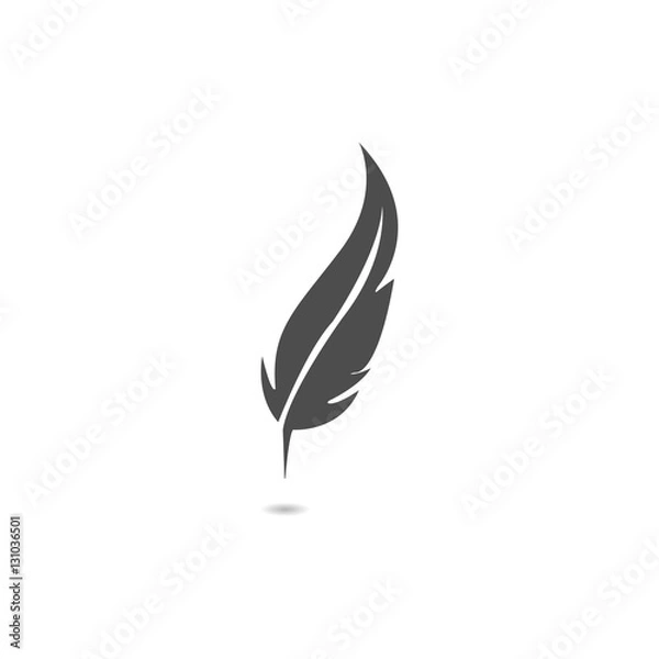 Fototapeta Feather vector set in a flat style