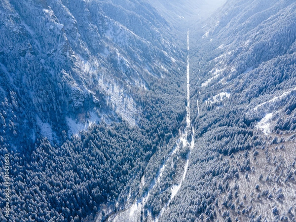 Obraz Winter view of Rila Mountain near Beli Iskar village,  Bulgaria