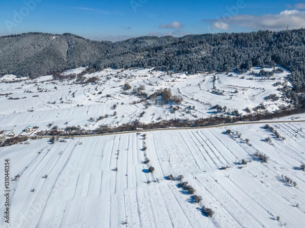 Obraz Winter view of Rila Mountain near Beli Iskar village,  Bulgaria