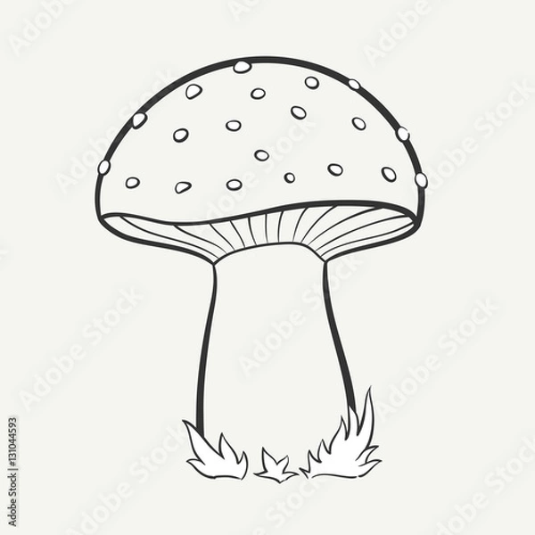 Obraz Cartoon black and white hand-drawn image of a spotted mushroom. Vector graphics.