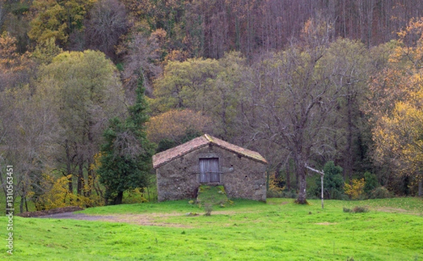 Fototapeta Stone country house with autumn forest in the background horizontal