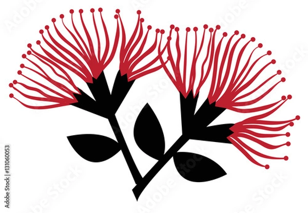 Obraz Pohutukawa Flowers