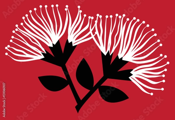 Obraz Pohutukawa Flowers