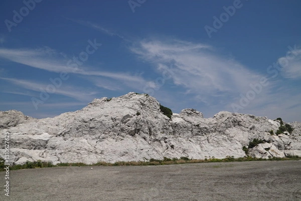 Obraz 白崎海洋公園