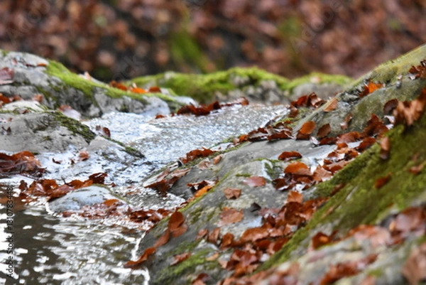 Obraz Wasserfall an einem Gebirgsbach 