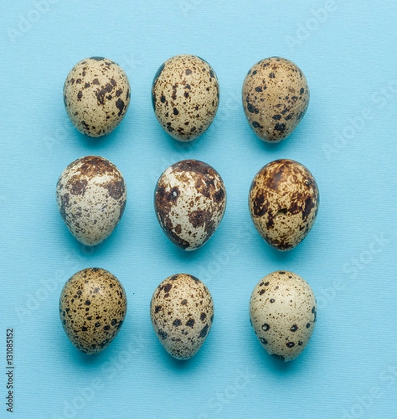 Obraz Collection of quail eggs on the blue background.