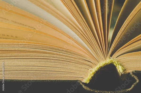 Fototapeta book macro