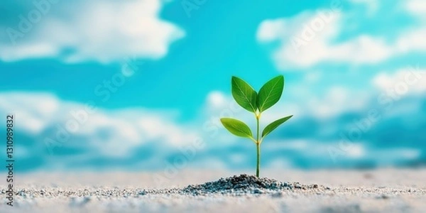 Fototapeta A small green plant sprouts from the soil beneath a bright blue sky, symbolizing growth and new beginnings.