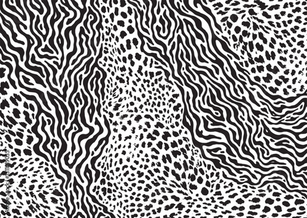 Fototapeta Leopard pattern design with zebra stripes. Animal print vector illustration background. Wildlife fur skin design illustration for web, home decor, fashion, surface, graphic design