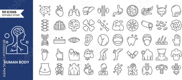 Fototapeta Anatomy icons set in line style. Containing eye, nose, mouth, ear, brain, head, hand, stomach, heart, kidneys, liver, lungs and more. Human body part and organs. Vector illustration