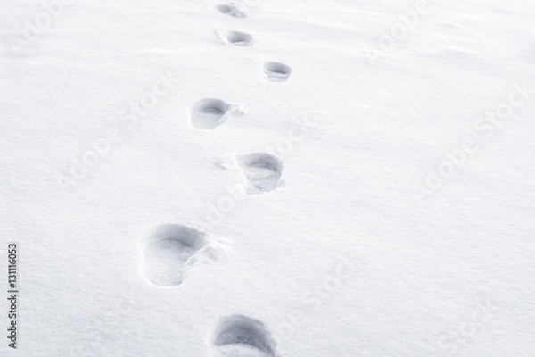 Obraz Footprints in the snow