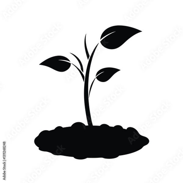 Obraz plant growing in soil