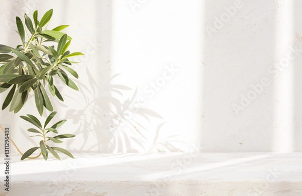 Fototapeta Vintage table top for product display and tropical plant branch on abstract cement wall background with dappled window sunlight shadows