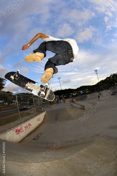 Obraz skateboarder