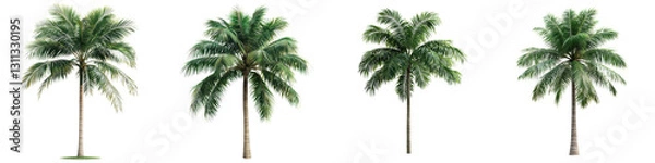 Fototapeta Picturesque tropical palm trees swaying in the breeze on a sunny beach coastline with idyllic natural scenery and a serene peaceful atmosphere  The lush green fronds provide a tranquil