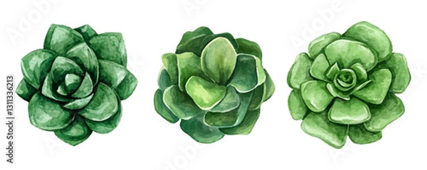 Obraz green beans isolated on white background